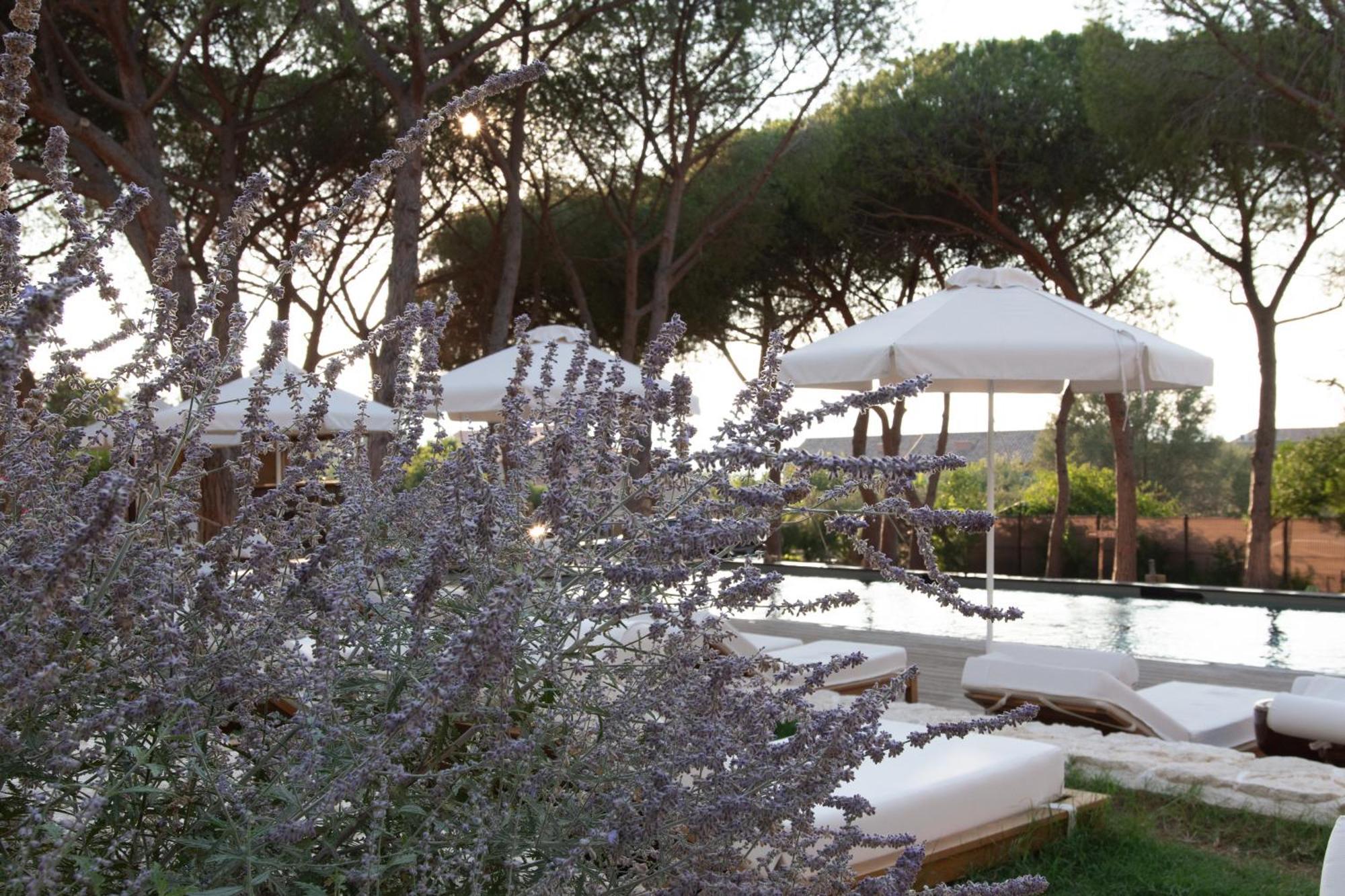 Boutique Hotel Responsable Et Restaurant Basgi Basgi Saint-Florent  Eksteriør bilde